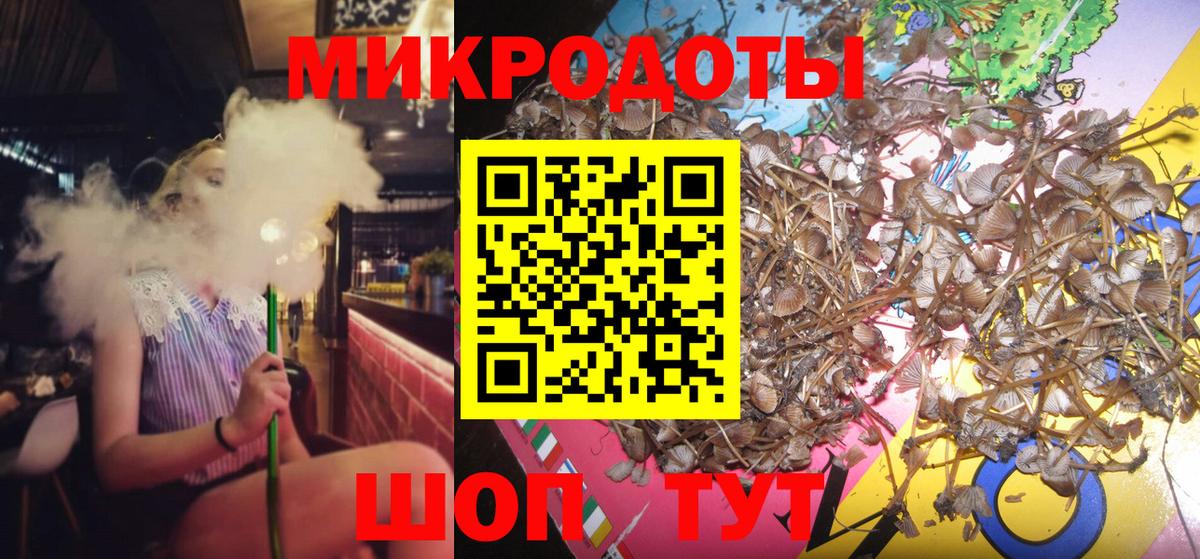 Домодедово  Псилоцибиновые грибы мухоморы  Вход с VPN 
